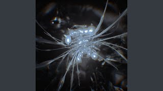 Það var óumflýjanlegt að komast að öðru. Get sagt þér barnalega sögu svo þú skiljir...