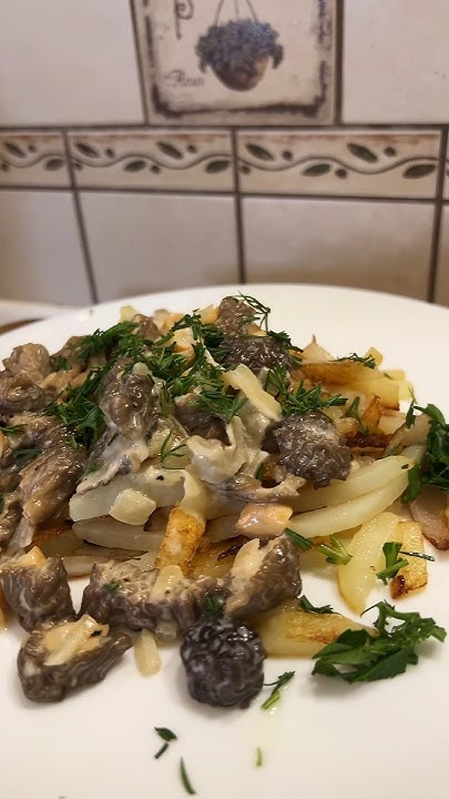 Что может быть вкуснее сморчков😍 - YouTube