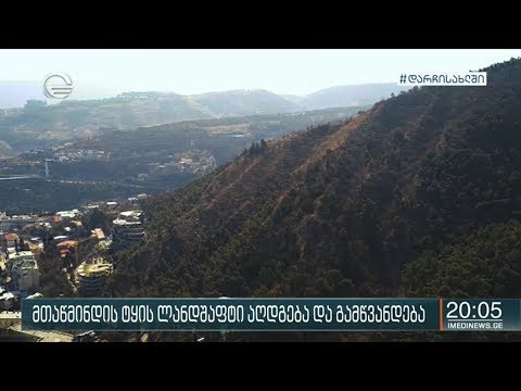 მთაწმინდის ფერდობზე ტყის ლანდშაფტი სრულად აღდგება