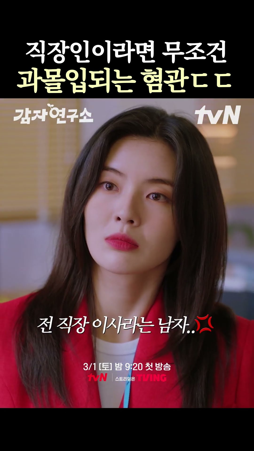 아름다운 껍데기에 그렇지 못한 잔소리? #감자연구소