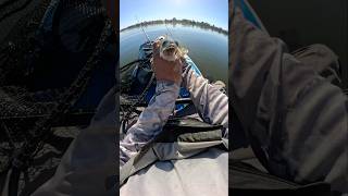 How to catch walleye at Chatfield Reservoir 🔥🎣W/ Kastmaster Lure #fishing #walleye #fyp #colorado