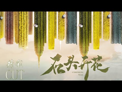 【石头开花】UNBENDING  WILL 11丨精彩CUT 夫妻吵架千万别说这句话