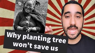 Why planting trees won