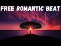 Free punjabi beat  punjabi background music  romantic beat  no copyright music  new music 2024