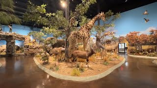 Focus On 5 Jays Webber Wildlife Center-Part 1