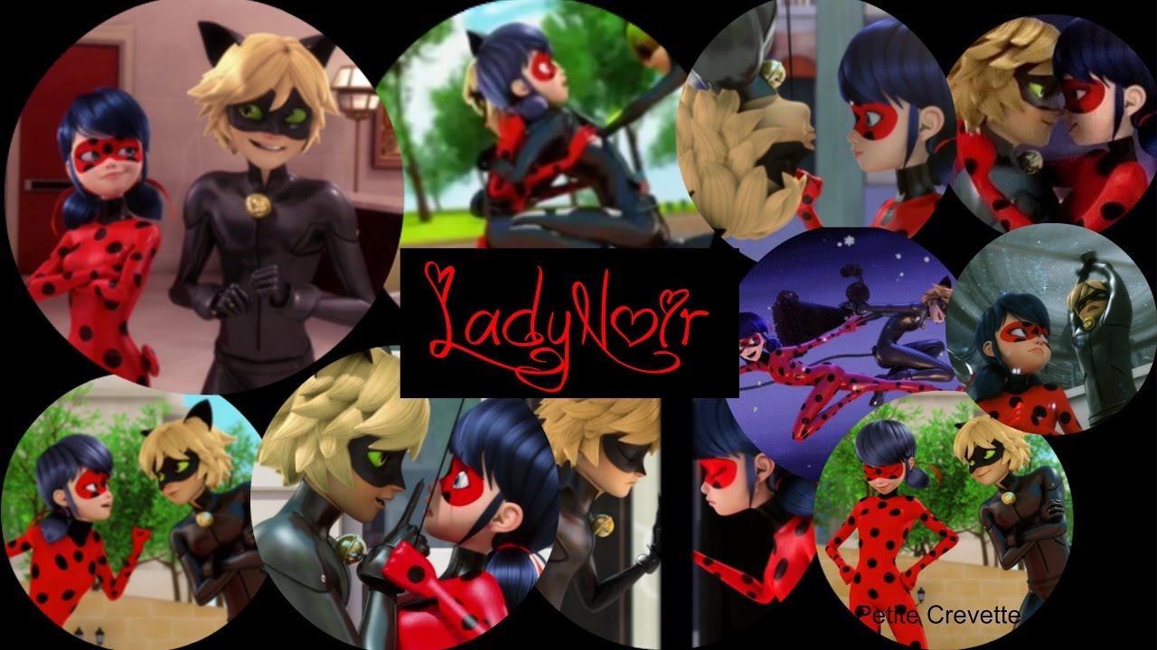 Miraculous AMV || LadyNoir - Je T'aime