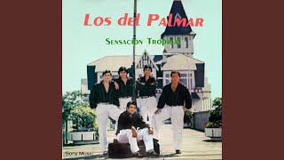 Video thumbnail of "Los Del Palmar - Ven y Bésame"