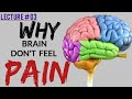 TOPIC # RECEPTORS |CLASS 12 |NERVOUS COORDINATION |BS BIO STUDIO