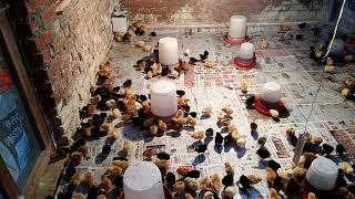 Day old Chicks ..Is bar bhi aya desi Chicks ....