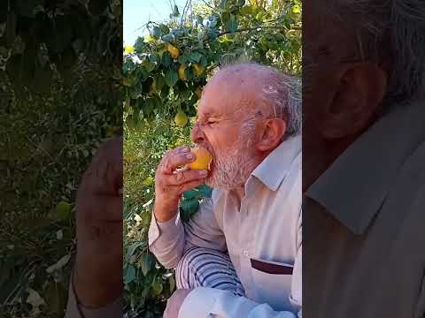 آره کسی که ده سال ميوه ندیده ونخورده باشه باید بااشتها بخوره نوش جان۲۶ مرداد برهمه آزادگان مبارک