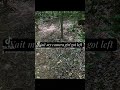For those concerned on my last video where he nibbled his leash.