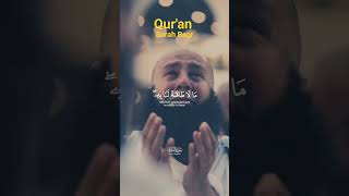 Beautiful Quran Recitation Surah Baqh