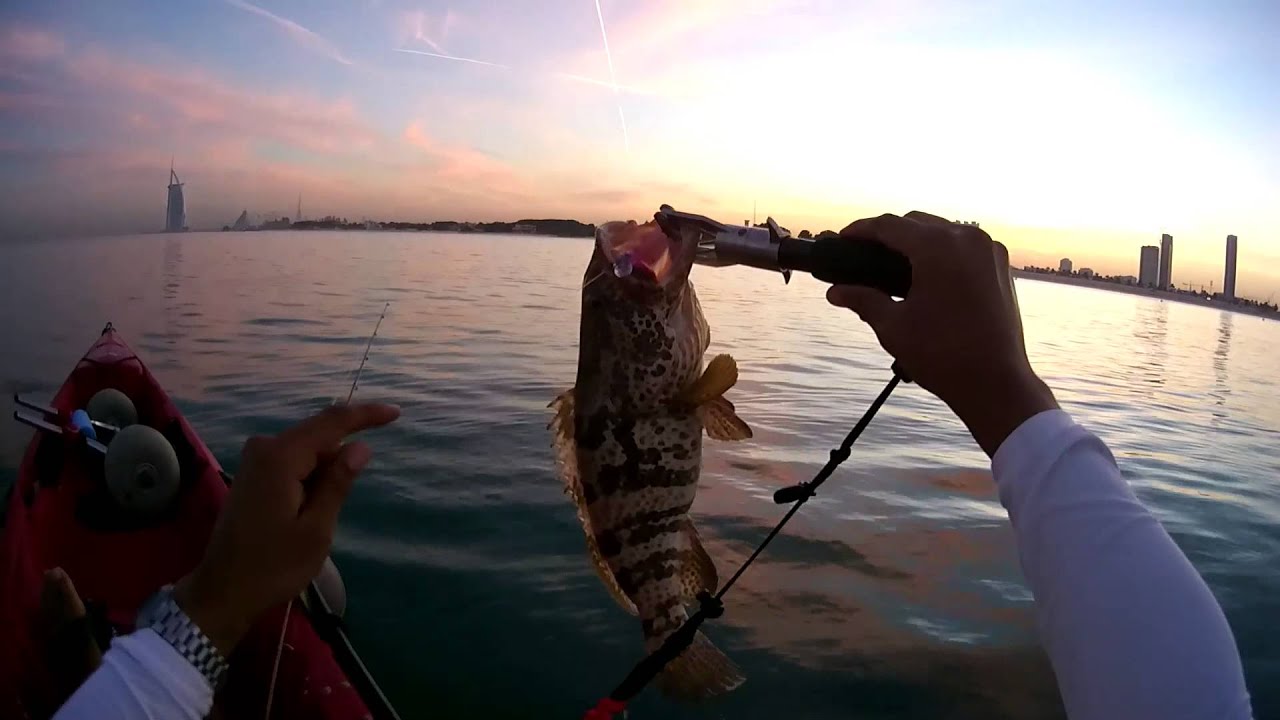 Dubai Kayak Fishing Hamour/Grouper vs Duo lure YouTube