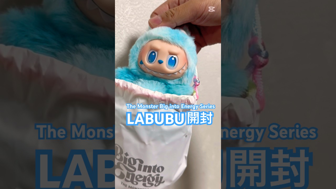 THE MONSTERS Big into Energy シリーズ ぬいぐるみペンダント