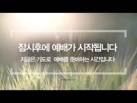 2026년  3월 25일 ( 수요일 )