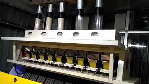 RICE COLOR SORTER MACHINE Results, by Apple Color Sorters