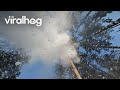 Making Snow Fall in the Forest || ViralHog