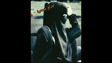 حلات واتس اب قصيرة حبيبي ويبقى بقلبي وحيدي 