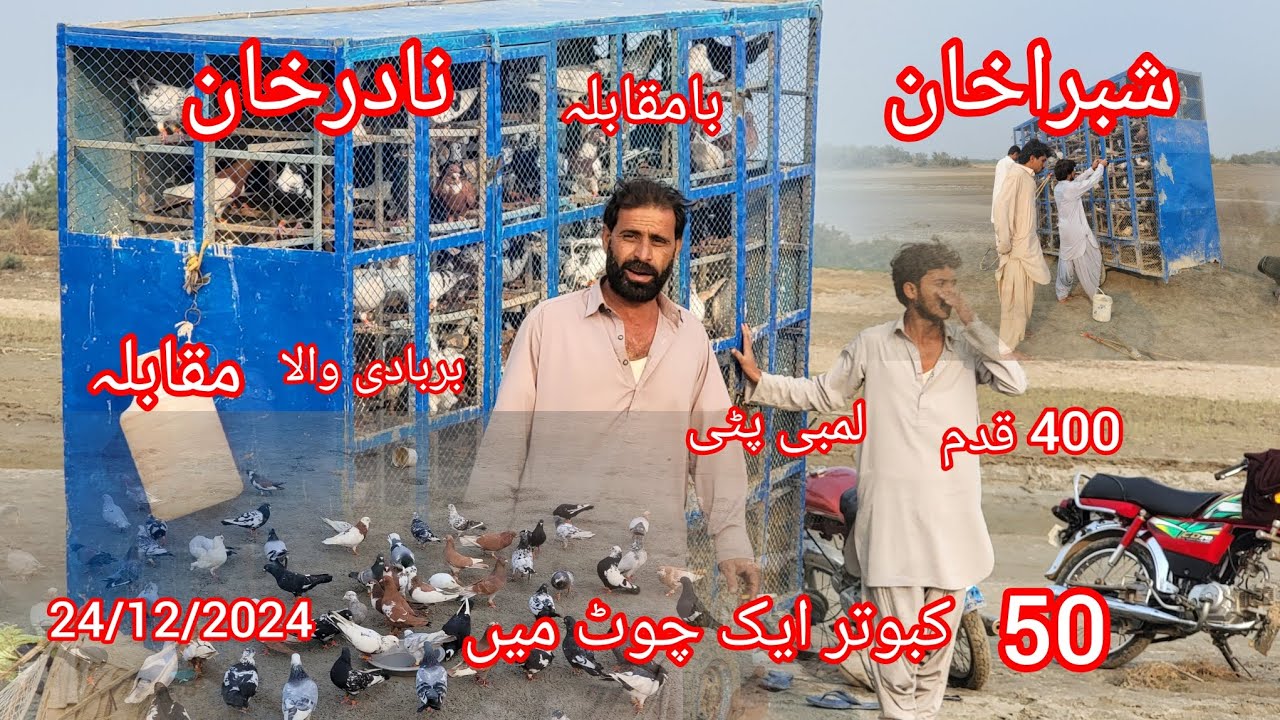 Panja kabutar ek side Gir Gaya Pahli chot per dusre ped wali chot barbadi wali