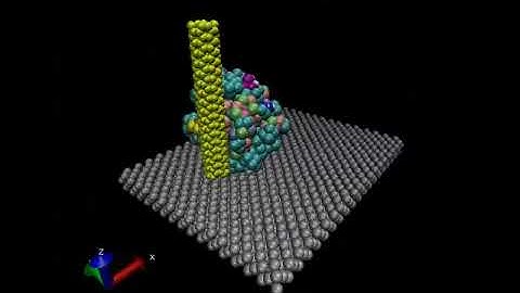 Molecular Dynamics, Pulling Ubiquitin with CNT (LAMMPS)