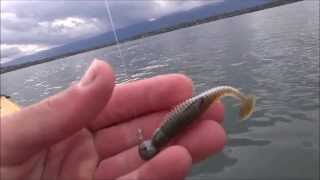 Lunker City Der kleine Grubsterin 2" Farbe LIMETREUSE Lunker City Der kleine Grubsterin 2" Farbe LIMETREUSE