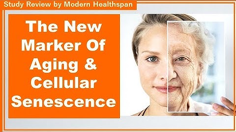 A New Marker Of Aging & Cellular Senescence | Study Review