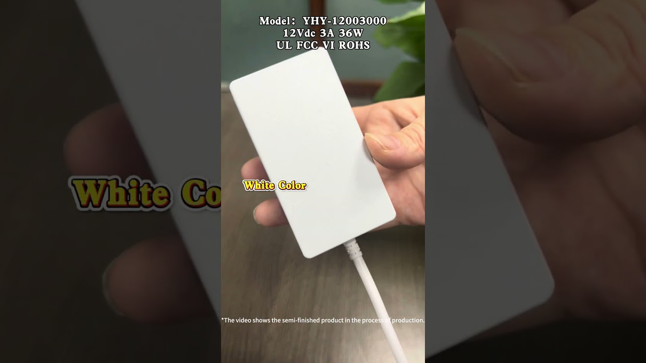 12V3A White  