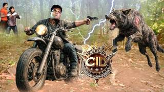 Download Lagu जब Jungli लोमड़ी के आतंक को ख़त्म करने अकेले निकल पड़ा Insp. Daya | CID 2026 MP3