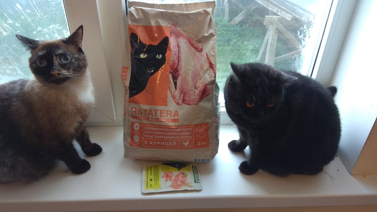 Пробуем новый НЕДОРОГОЙ но КАЧЕСТВЕННЫЙ корм для кошек STATERA