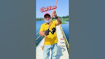 Câu Cá Tra Bằng Cần Toro Giá Rẻ Hồ 13 Mẫu 7 #Shorts