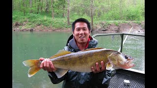 Top 10 Walleye Fishing Lakes In Kentucky