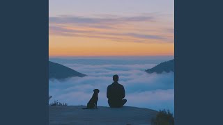 Echoes of Stillness