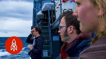 Fighting Poaching on the Open Ocean: A Great Big Film Trailer