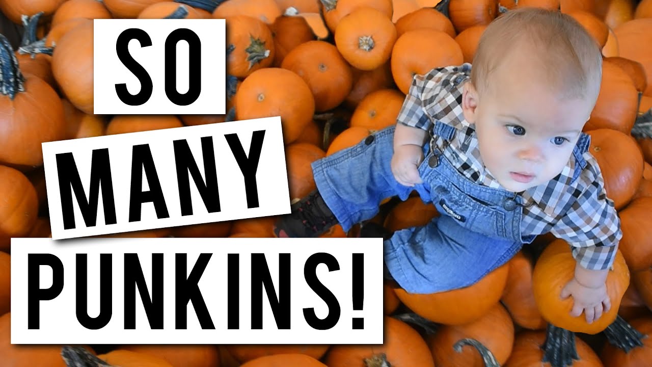 Baby's First Pumpkin Patch!