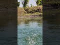 the sound of water #shorts videos