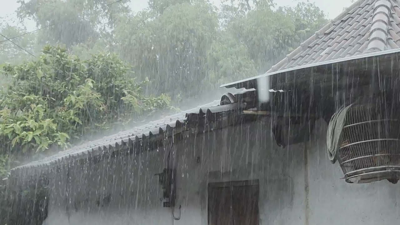 Daytime Rain ASMR – Calming Rain Sounds for Relaxation