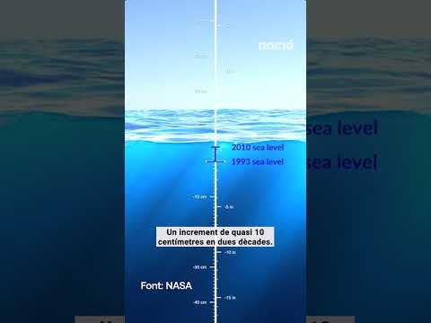 Vídeo: On augmenta el nivell de l'aigua?