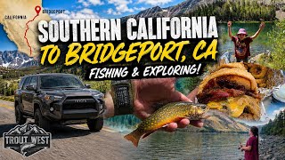 Road Trip SoCal to Bridgeport California To Go Fishing & Exploring #395 #troutfishing #cheeseburger