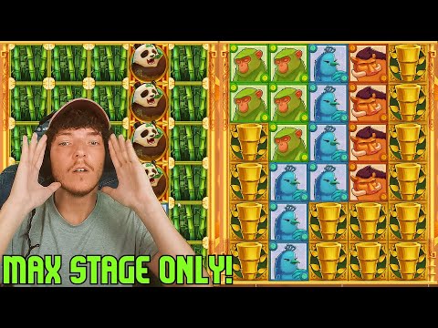 I tried MAX STAGE ONLY on BIG BAMBOO! (STAKE)