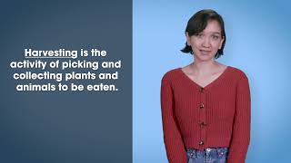 Lesson 5 Food Systems, Resources, and Outputs