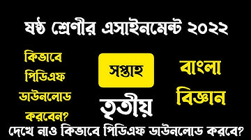 Class 6 Assignment 2022 3rd Week || Assignment Class 6 3rd Week || Class 6 3rd Week Assignment 2022