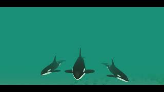 Mega Sharks 3d screenshot 4