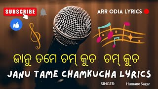 Janu Tame Chamkucha Lyrics - Humane Sagar || Odia & English Lyrics || ARR Odia Lyrics||