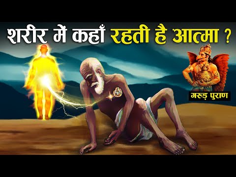 वीडियो: शरीर के किस अंग पर गंधक ग्रंथियां अधिक होती हैं?