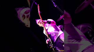 Valiant Sentinel - Destiny Awaits