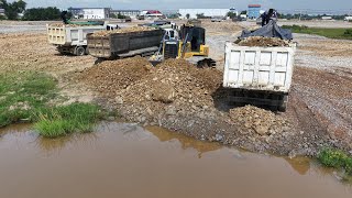 Interested Move On Stones Landfill Task! Skill SHANTUI Bulldozer Showing Technique Posh With Trucks