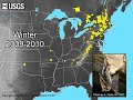 Bat White-nose Syndrome: There is a New Fungus Among Us By Dr. David Blehert
