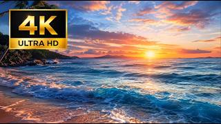 Tropical Beach Sunset Ambience 🌴 Only Ocean Waves & Nature Sounds 4K 10 Hours