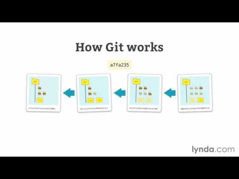 03 05 How Git works