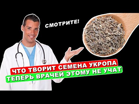 СЕМЕНА ВОЗРОЖДЕНИЯ! Всего одна ложка СЕМЯН УКРОПА и организм как Новый. Не ожидала такого!